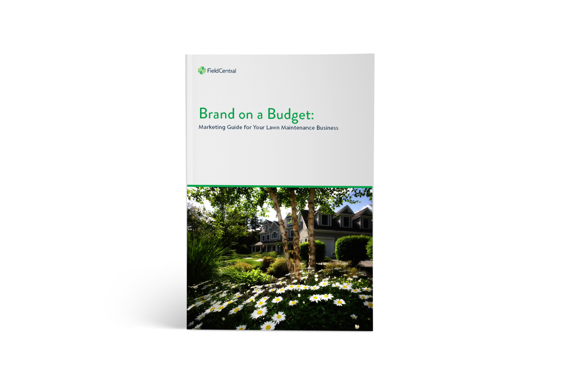 Brand on a Budget: Marketing Guide for Your Lawn Maintenance Business ebook cover. 