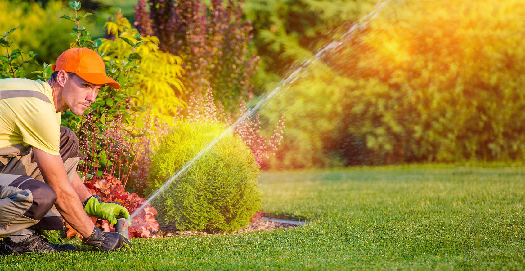 Irrigation Scheduling Software